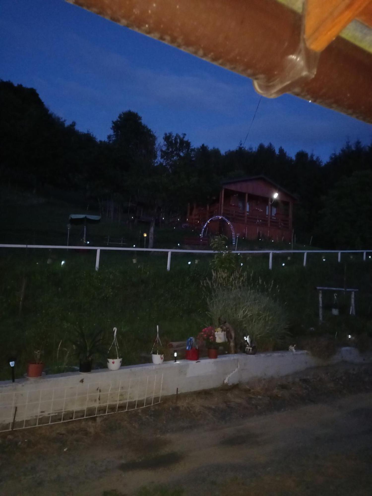 Bed and Breakfast Casa Geanina Колибица Экстерьер фото