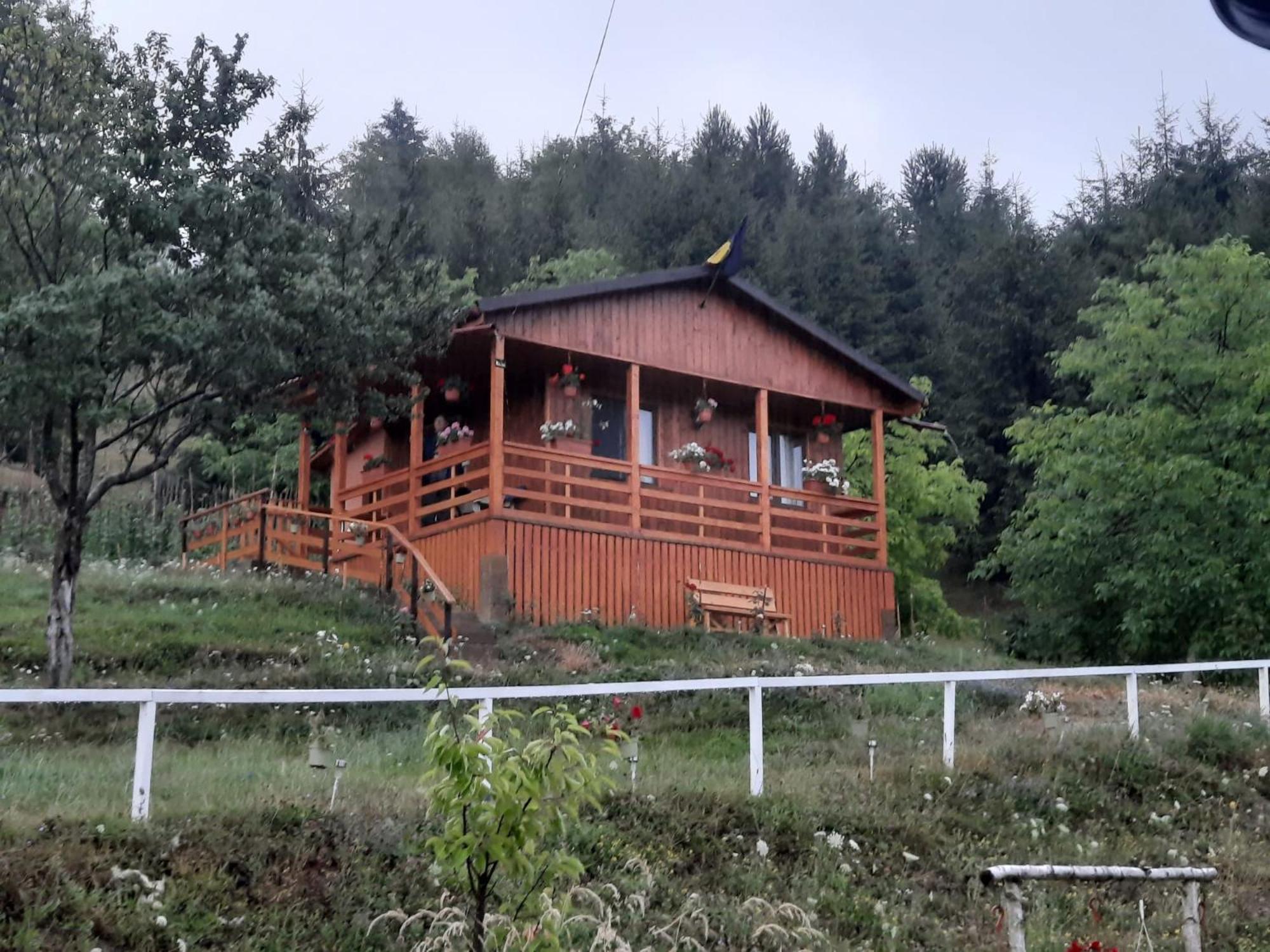 Bed and Breakfast Casa Geanina Колибица Экстерьер фото